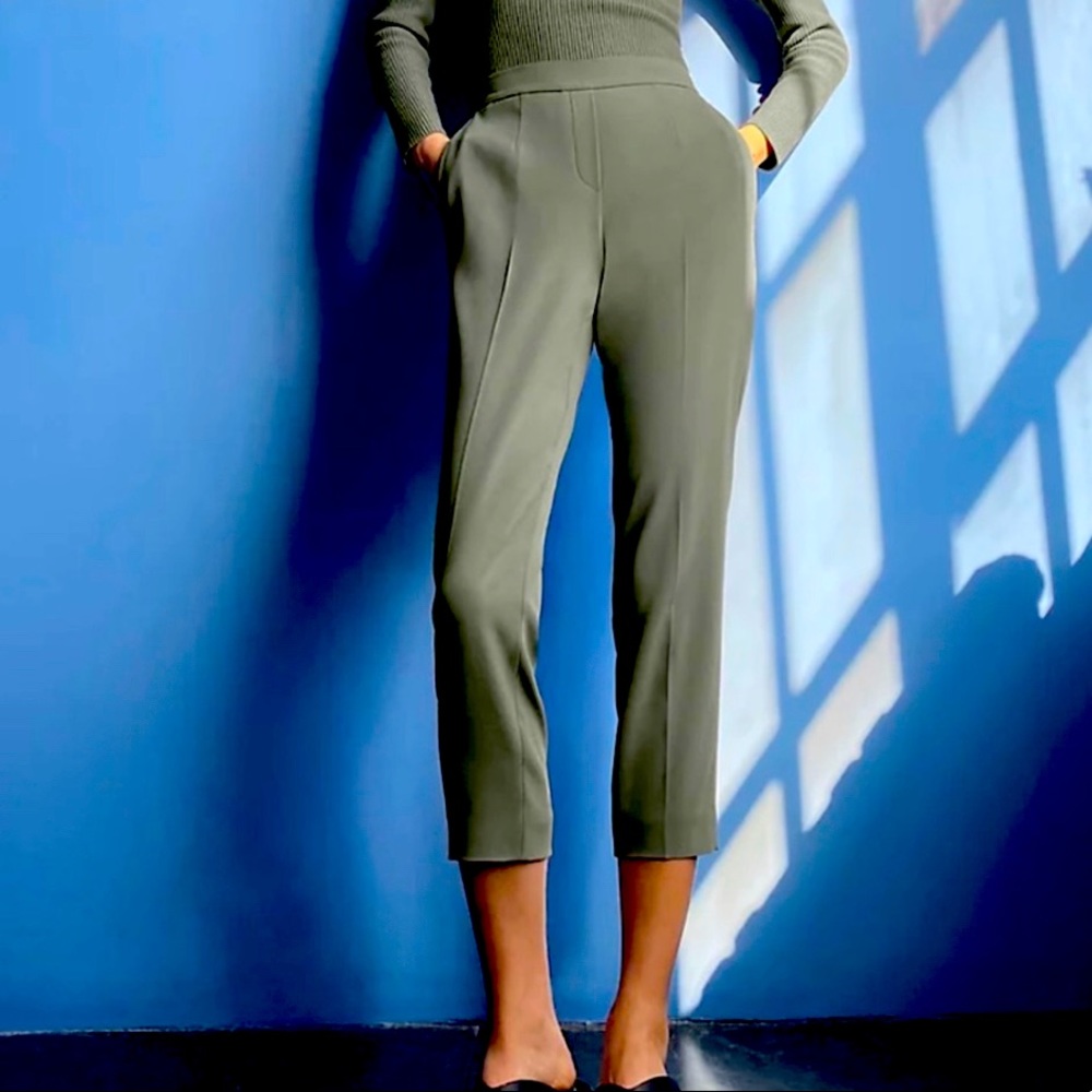Aritzia Babaton cropped pants